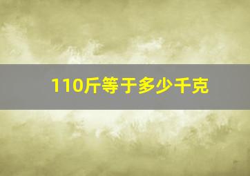 110斤等于多少千克