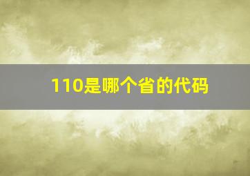 110是哪个省的代码