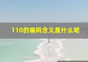 110的编码含义是什么呢