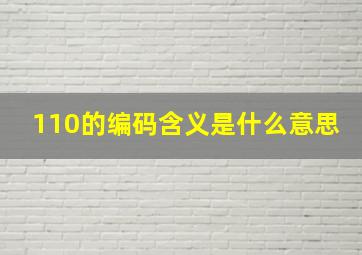 110的编码含义是什么意思