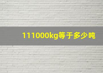 111000kg等于多少吨