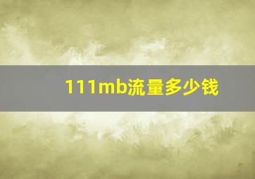 111mb流量多少钱