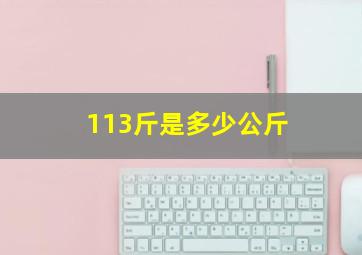 113斤是多少公斤