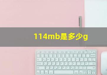 114mb是多少g