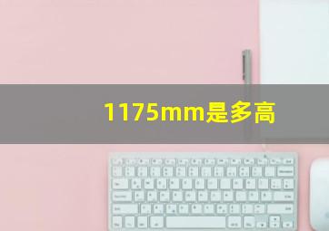 1175mm是多高