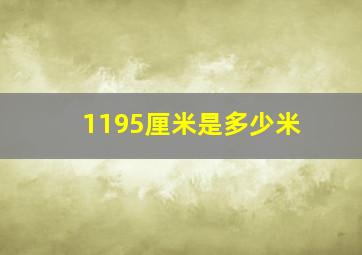 1195厘米是多少米