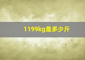 1199kg是多少斤