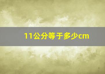 11公分等于多少cm