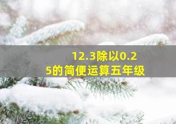 12.3除以0.25的简便运算五年级