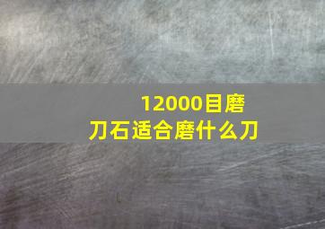 12000目磨刀石适合磨什么刀