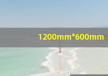 1200mm*600mm