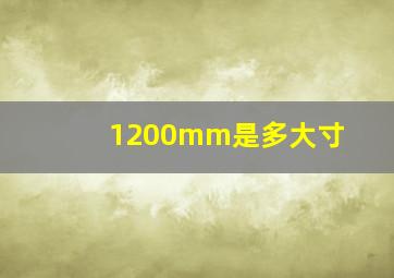 1200mm是多大寸