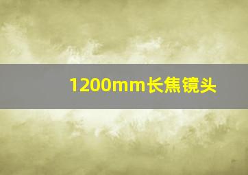 1200mm长焦镜头