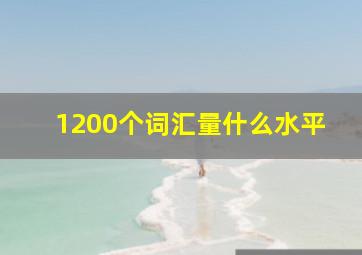 1200个词汇量什么水平