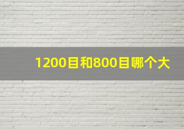 1200目和800目哪个大