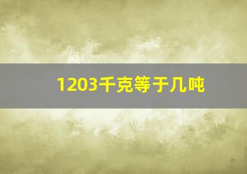 1203千克等于几吨