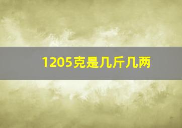 1205克是几斤几两