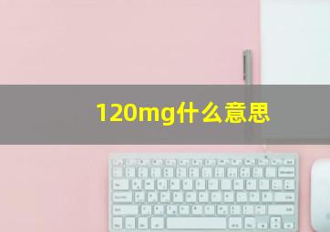 120mg什么意思