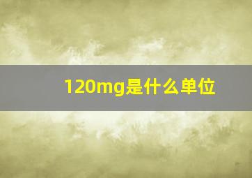 120mg是什么单位