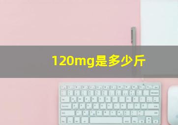 120mg是多少斤