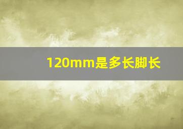 120mm是多长脚长