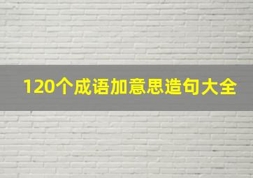 120个成语加意思造句大全