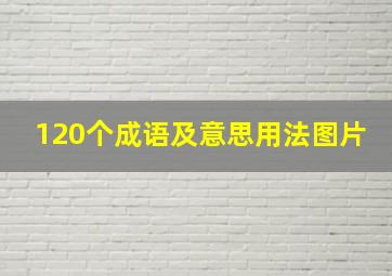 120个成语及意思用法图片