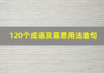 120个成语及意思用法造句