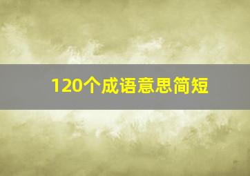 120个成语意思简短