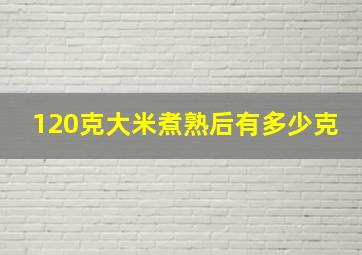 120克大米煮熟后有多少克