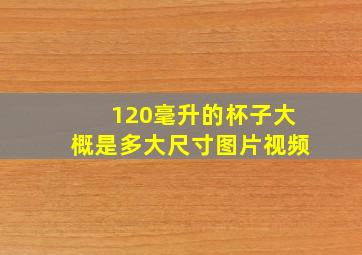 120毫升的杯子大概是多大尺寸图片视频