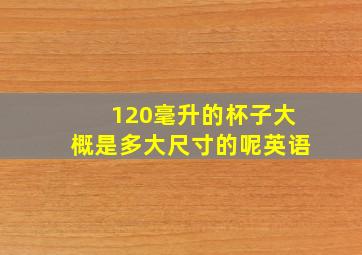 120毫升的杯子大概是多大尺寸的呢英语