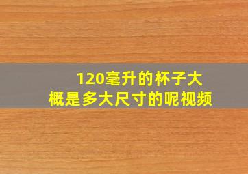 120毫升的杯子大概是多大尺寸的呢视频