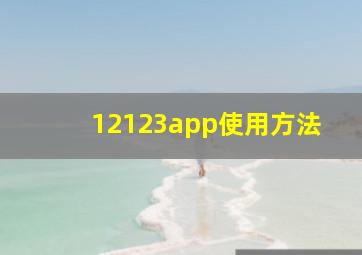 12123app使用方法