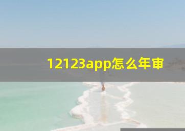 12123app怎么年审