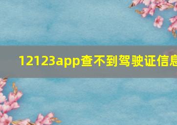 12123app查不到驾驶证信息