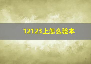 12123上怎么验本