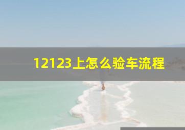 12123上怎么验车流程