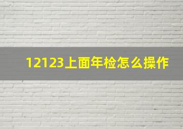 12123上面年检怎么操作