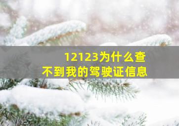 12123为什么查不到我的驾驶证信息