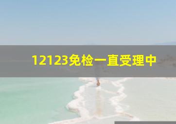 12123免检一直受理中