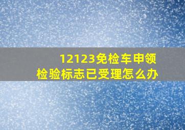 12123免检车申领检验标志已受理怎么办