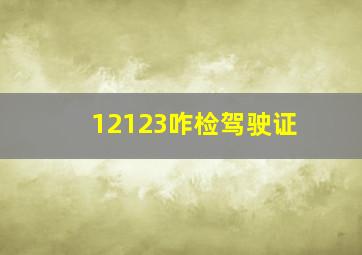 12123咋检驾驶证