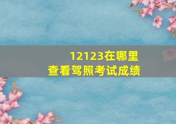 12123在哪里查看驾照考试成绩