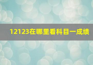 12123在哪里看科目一成绩