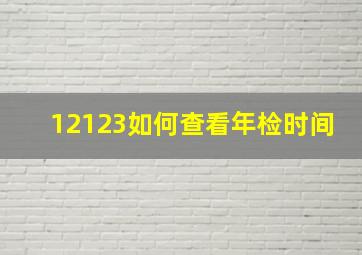 12123如何查看年检时间