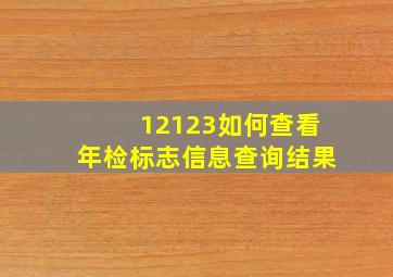 12123如何查看年检标志信息查询结果