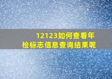 12123如何查看年检标志信息查询结果呢