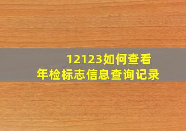 12123如何查看年检标志信息查询记录