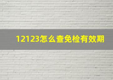 12123怎么查免检有效期